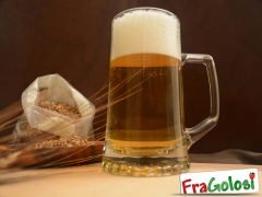 Birra fatta in Casa