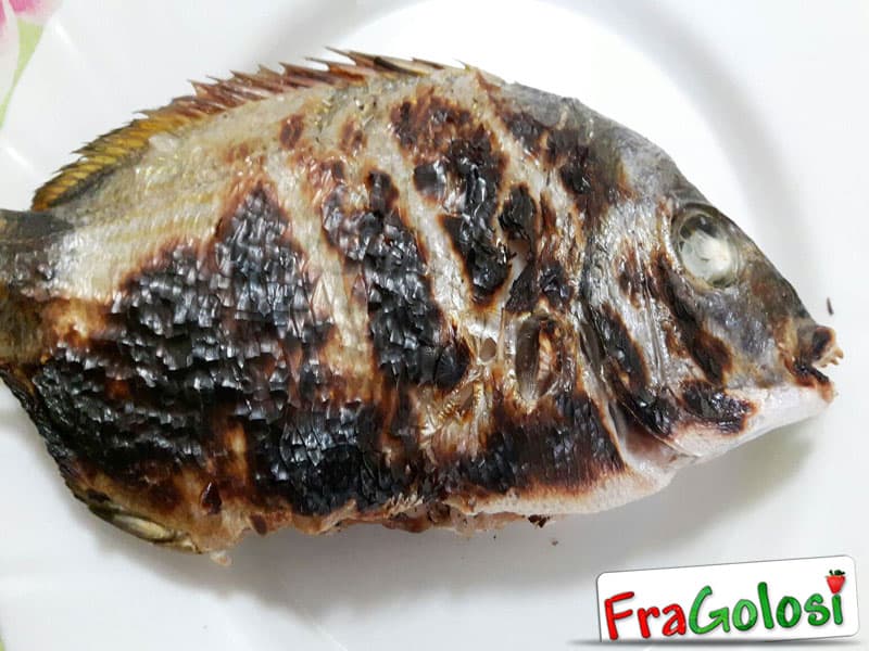 Sarago alla Griglia