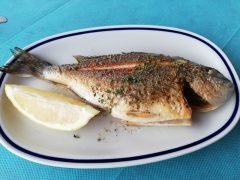Orata alla Griglia