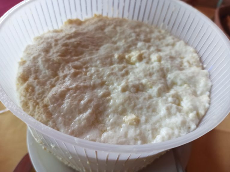 Ricotta fatta in casa
