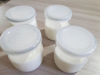 Yogurt fatto in casa con fermenti lattici