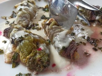 Involtini di carne con la verza