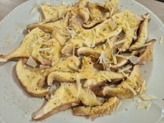 Funghi di ferla marinati