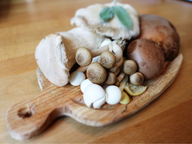 Ricette con Funghi