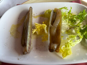 Cannolicchi in padella